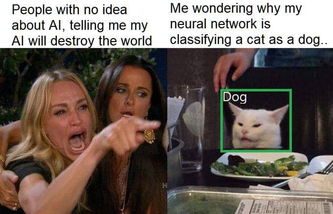 A meme image that has a